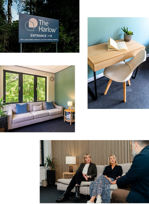 rsz_1theharlow-collage-for-coaching-page-1