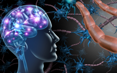 Understanding the Stress-Gut Connection: How Emotional Strain Manifests Physically